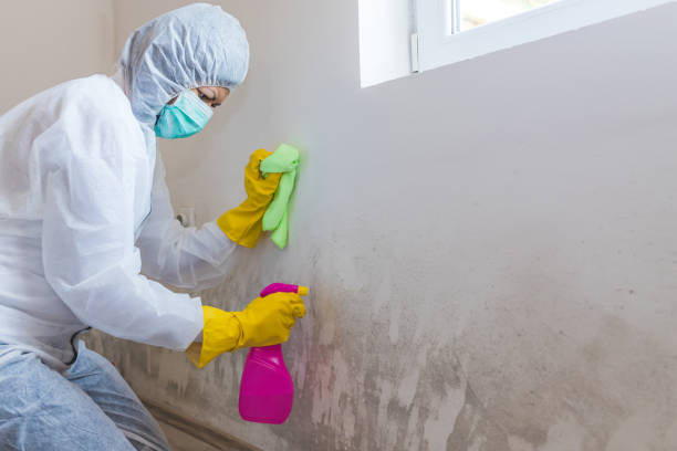 Best Real Estate Mold Inspection  in Panguitch, UT